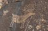 2020 September Petroglyph in Agua Fria National Monument 01