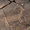 2020 September Petroglyph in Agua Fria National Monument 02