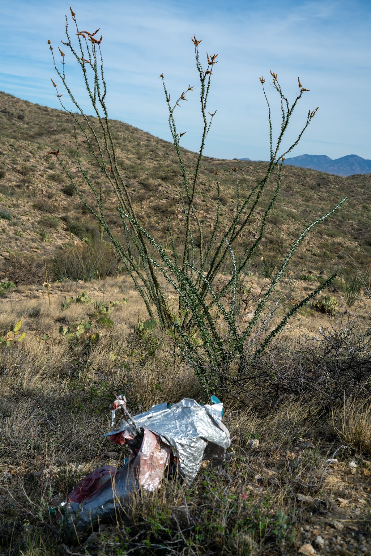 2021 April Balloon Trash above Shaw Canyon in the Rincon Mountain Wilderness