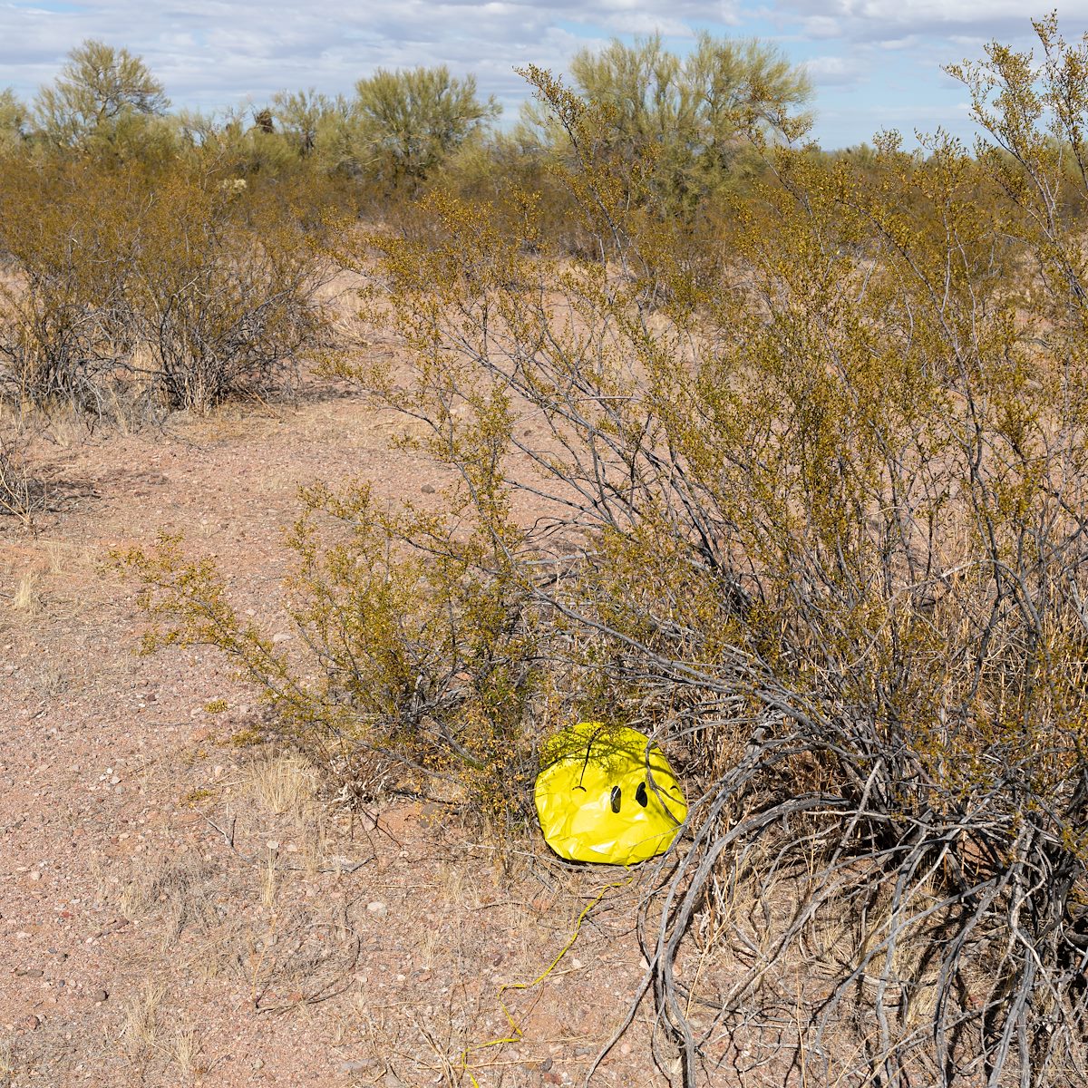 2021 January Balloon Trash in Ironwood Forest National Monument