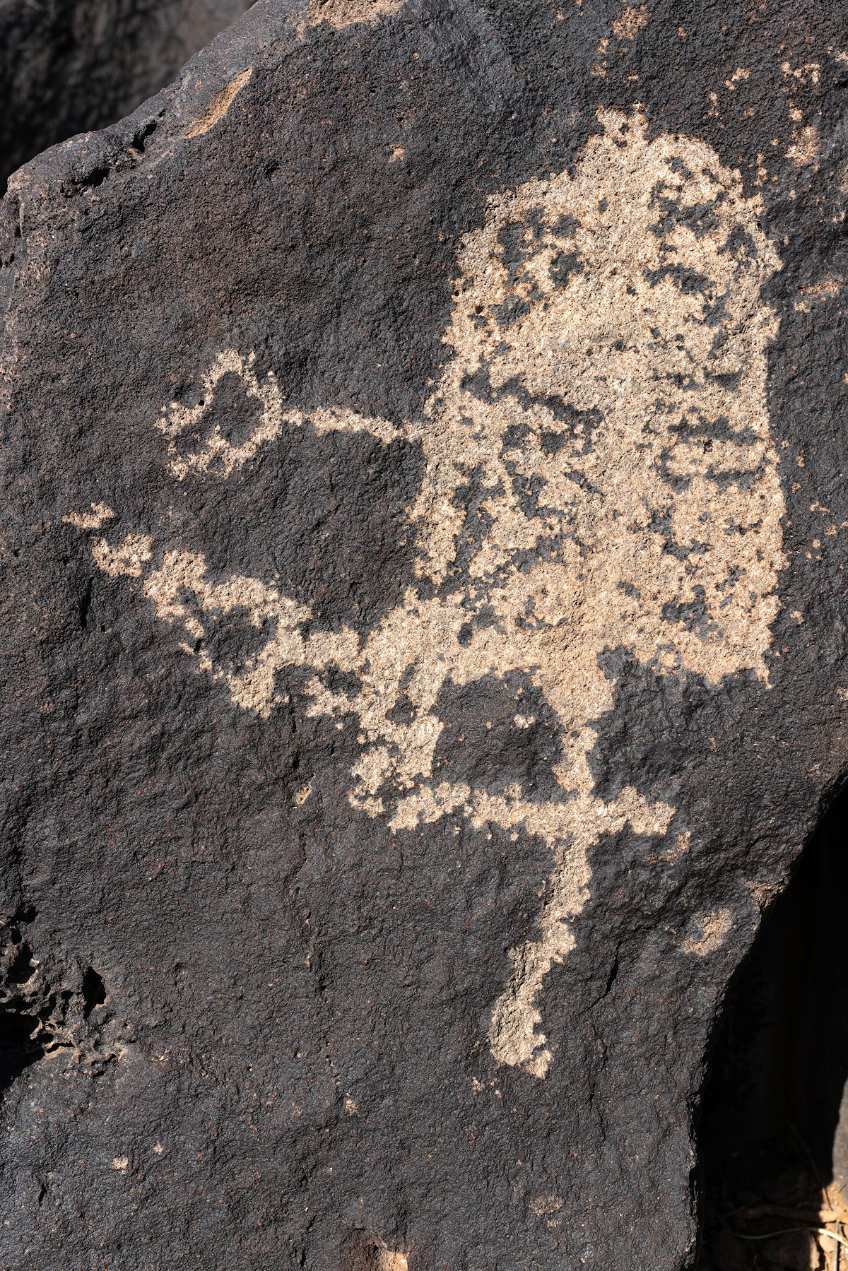 2021 January Ironwood East Petroglyph 02