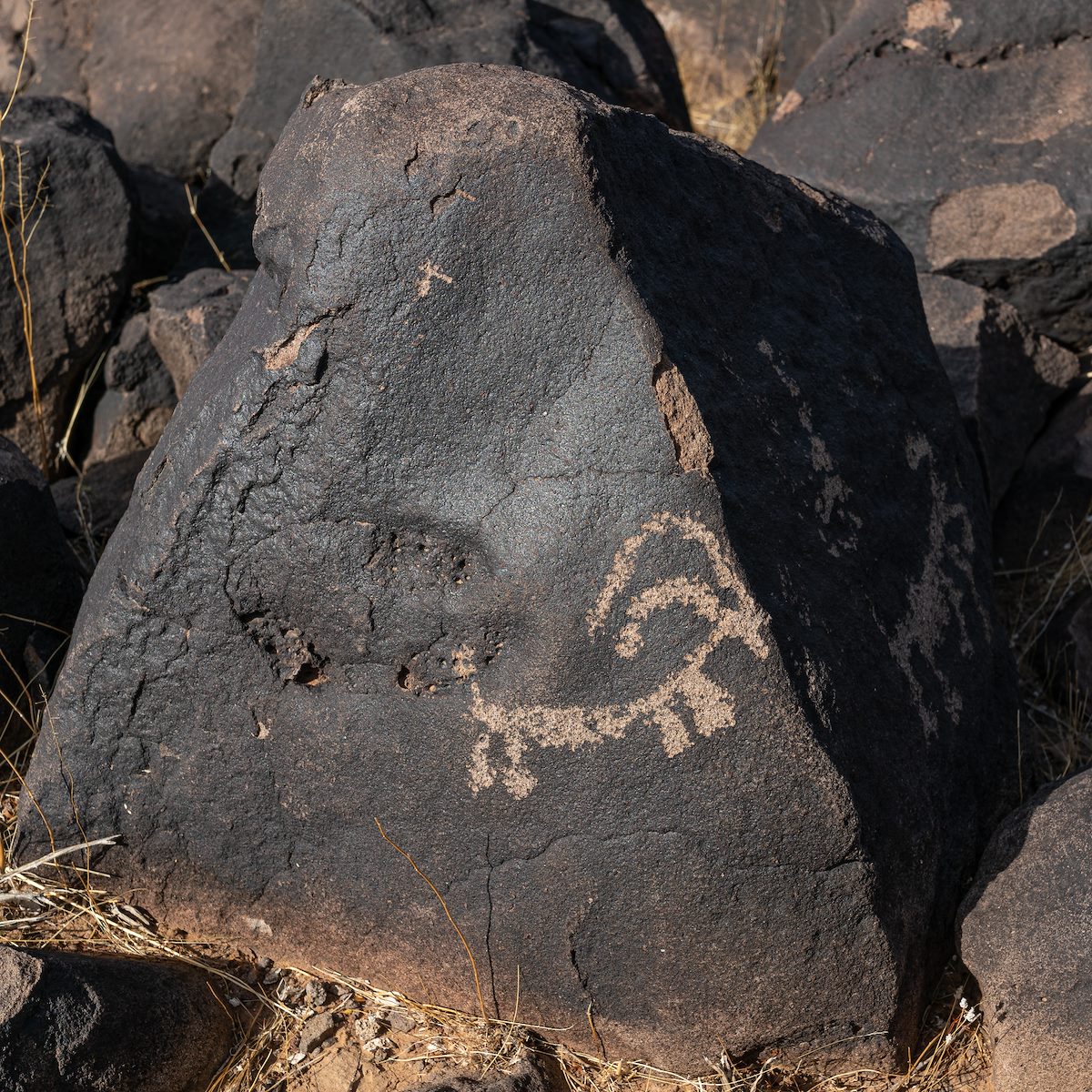 2021 January Ironwood East Petroglyph 03