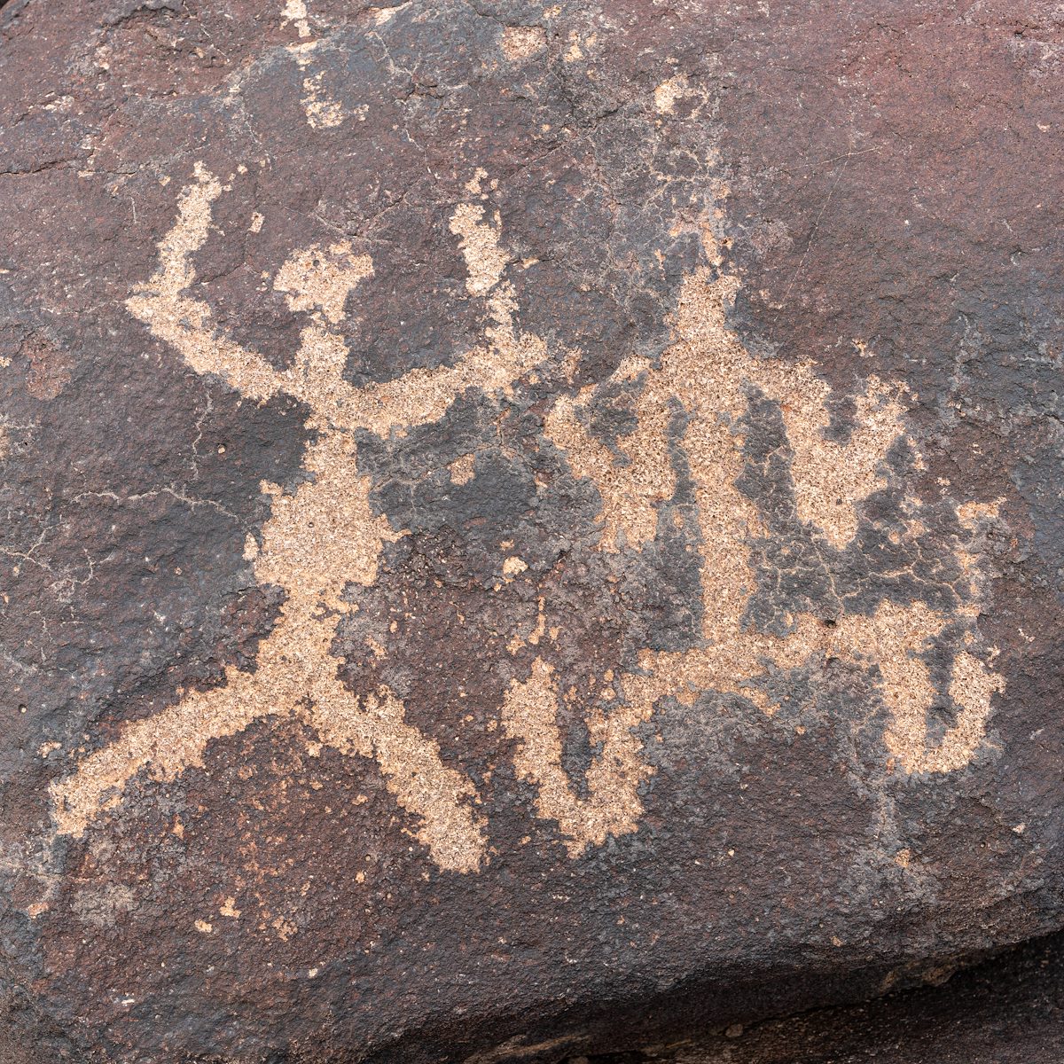2021 January Ironwood East Petroglyph 05