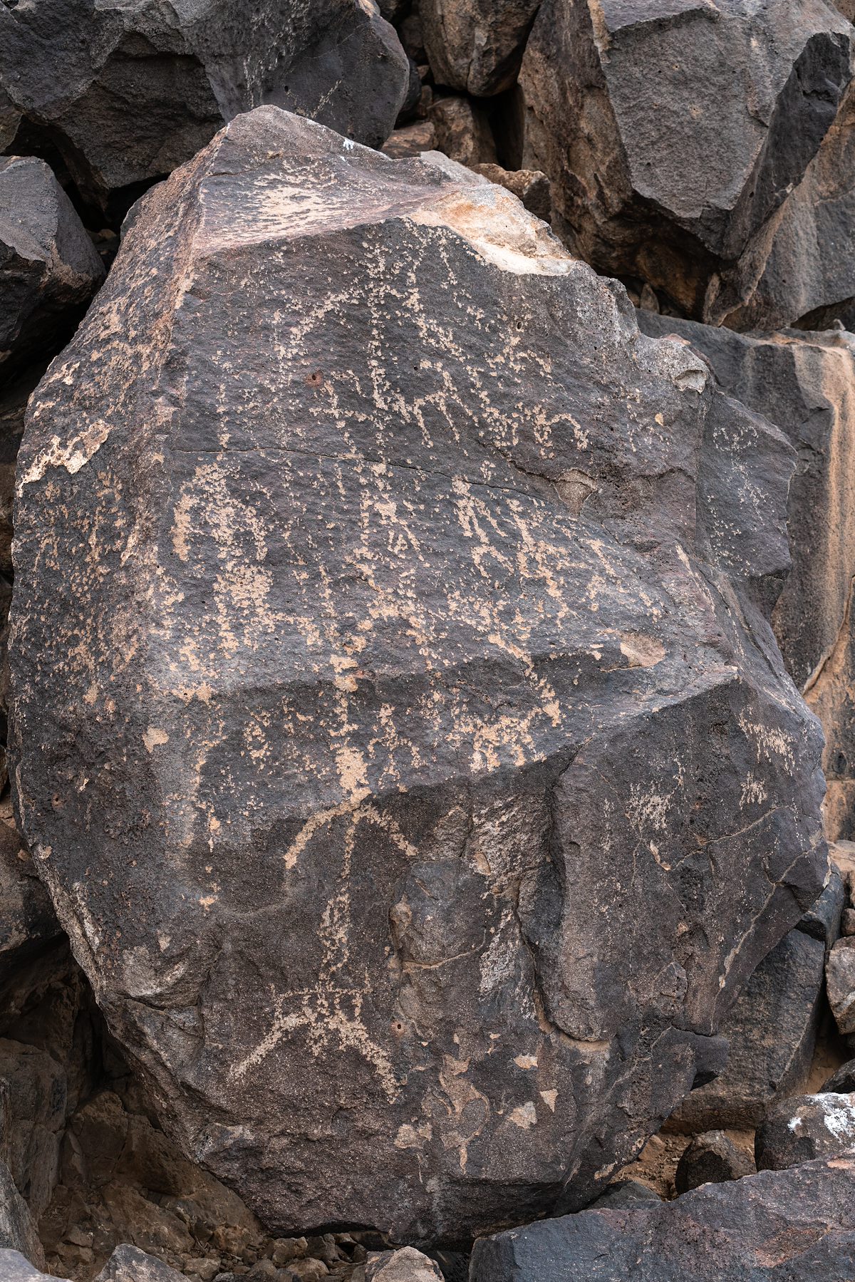 2021 January Ironwood East Petroglyph 10