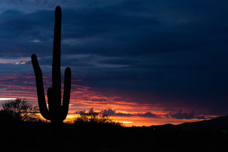2022 July Saguaro and Sunset