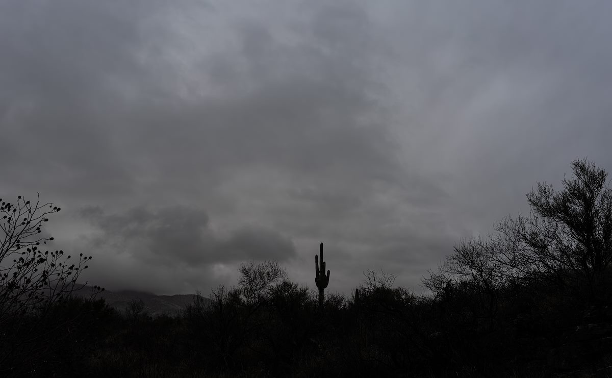 2023 January Saguaro and Grey Skies