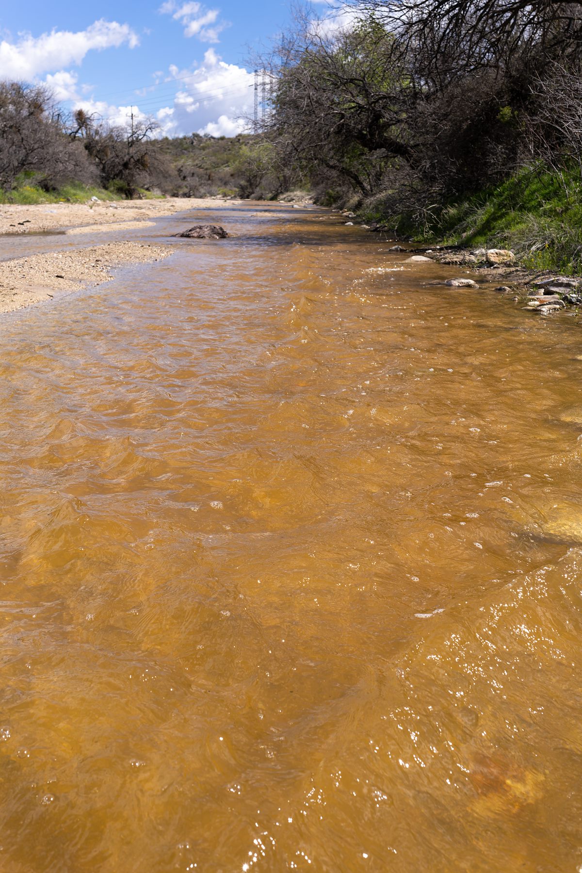 2024 April Water in Agua Verde Creek
