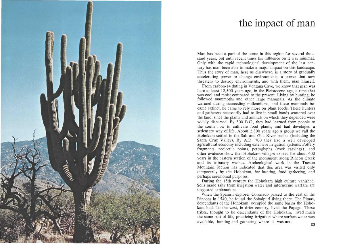 Saguaro Official National Park Handbook - 1985 Page 46