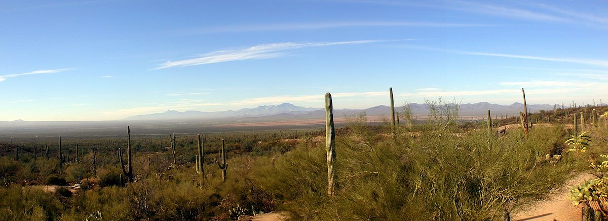 2001 Fall West of Tucson