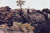 2001 March Charles on the Lava