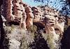 2001 March Cliff Dwellings from the Canyon