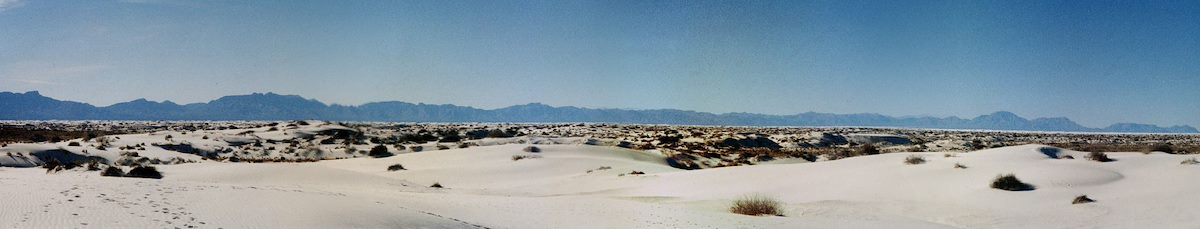 2001 March Tracks in the Sand