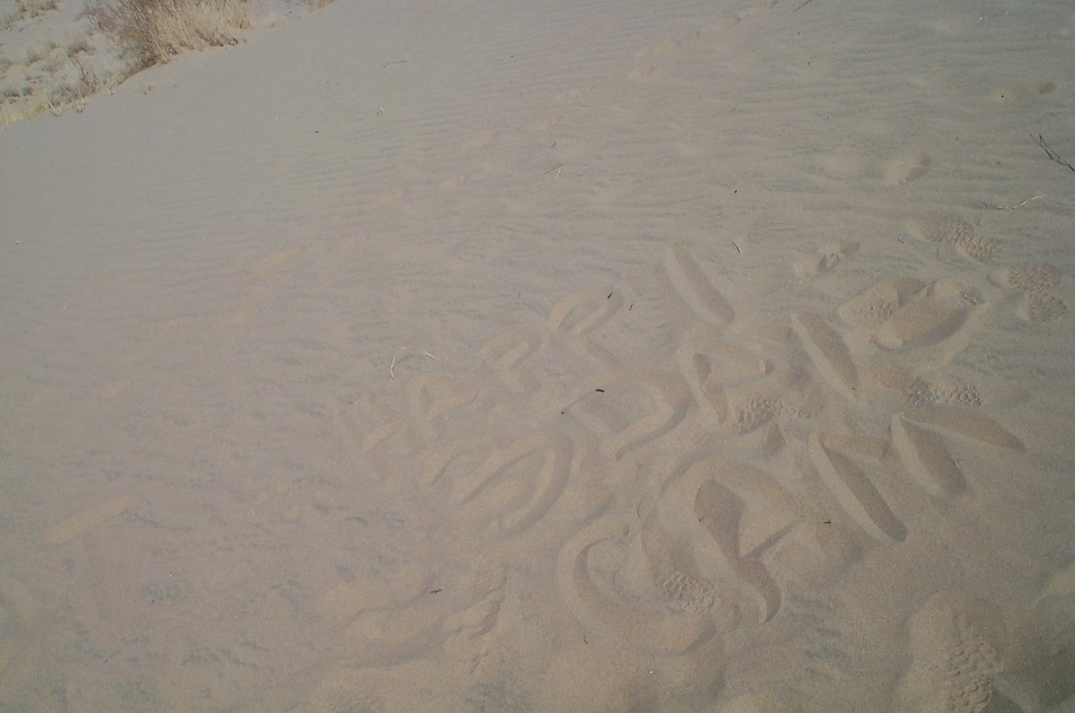 2002 March Writing in the Dunes