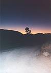 2002 November Sunset in Joshua Tree