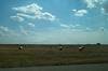 2003 August Kansas Hay