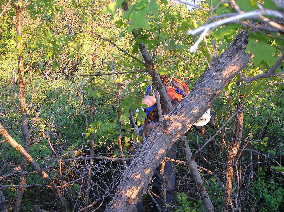 2005 June BirchHollow Bushwack Finish