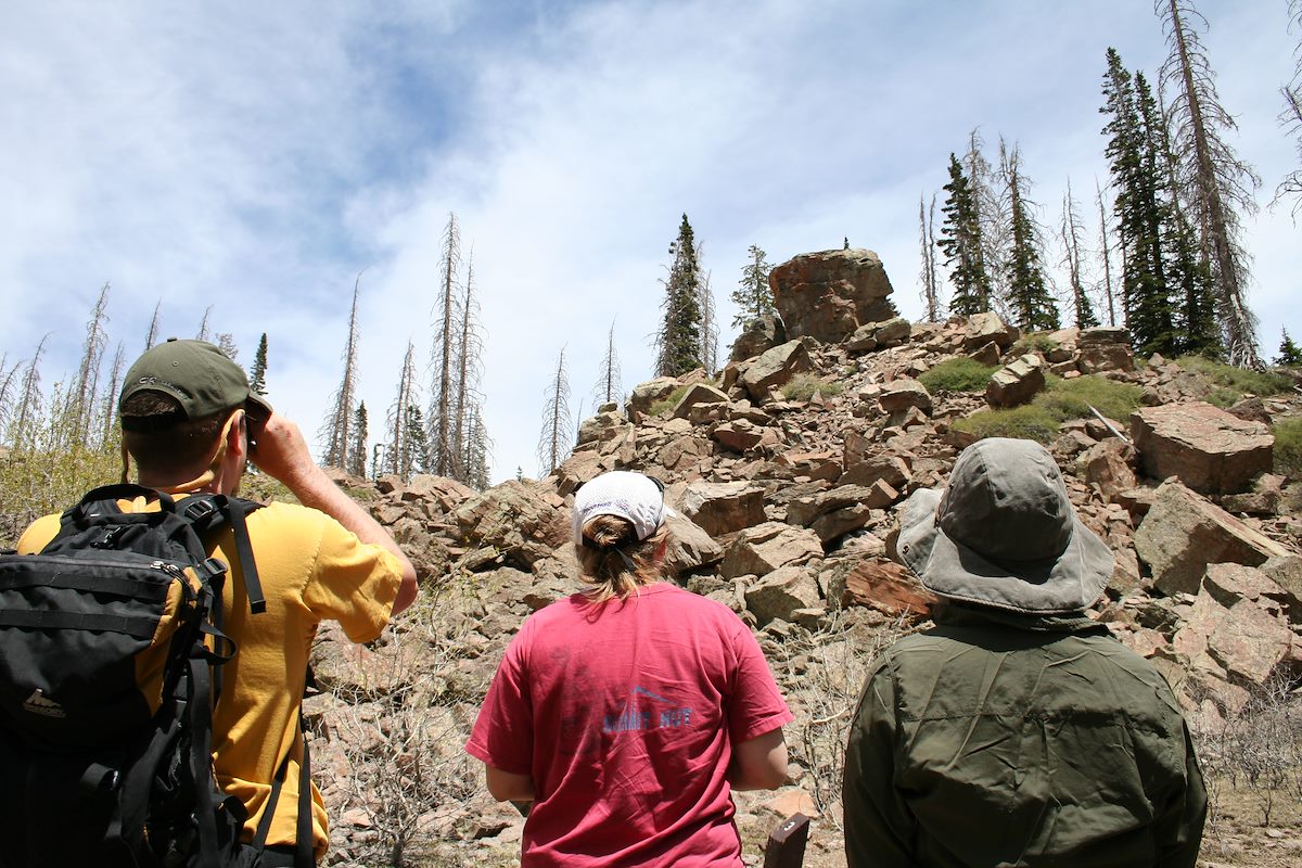 2006 June Looking for the Marmots in Cedar Breaks