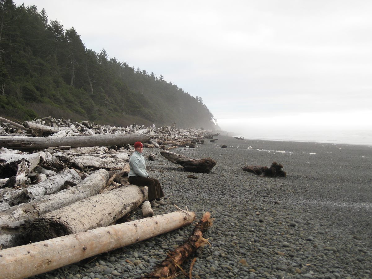 2008 November ADT and Ruby Beach Logs