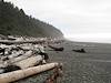 2008 November ADT and Ruby Beach Logs