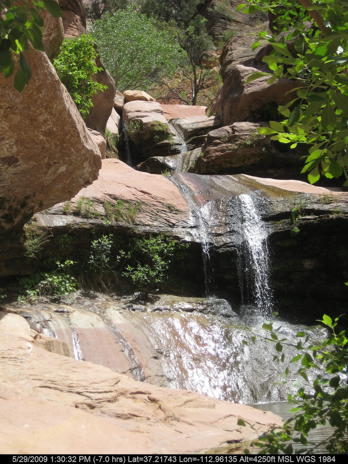 2009 May Waterfall in Pine