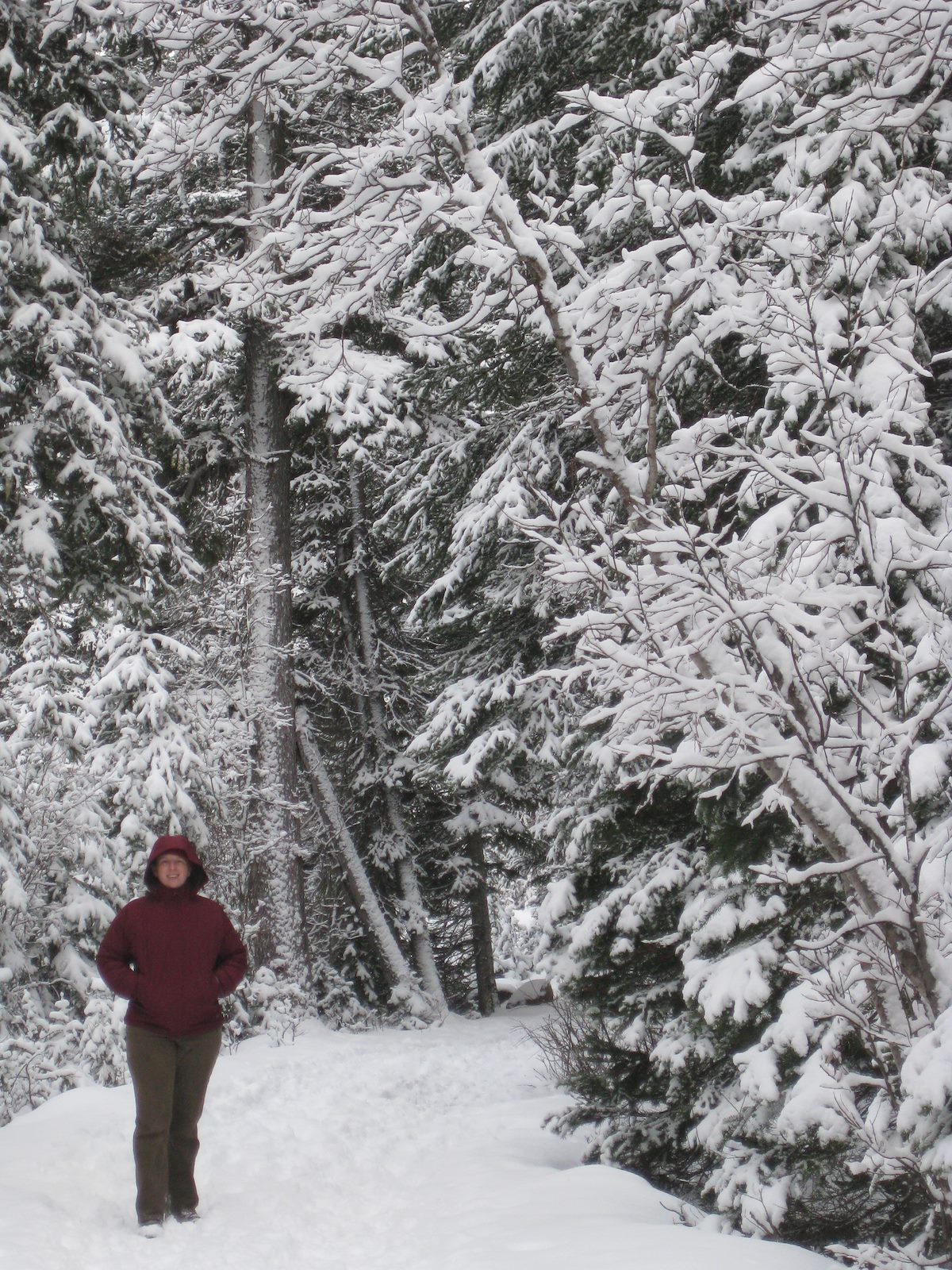 2009 November Alison in the snowy trees