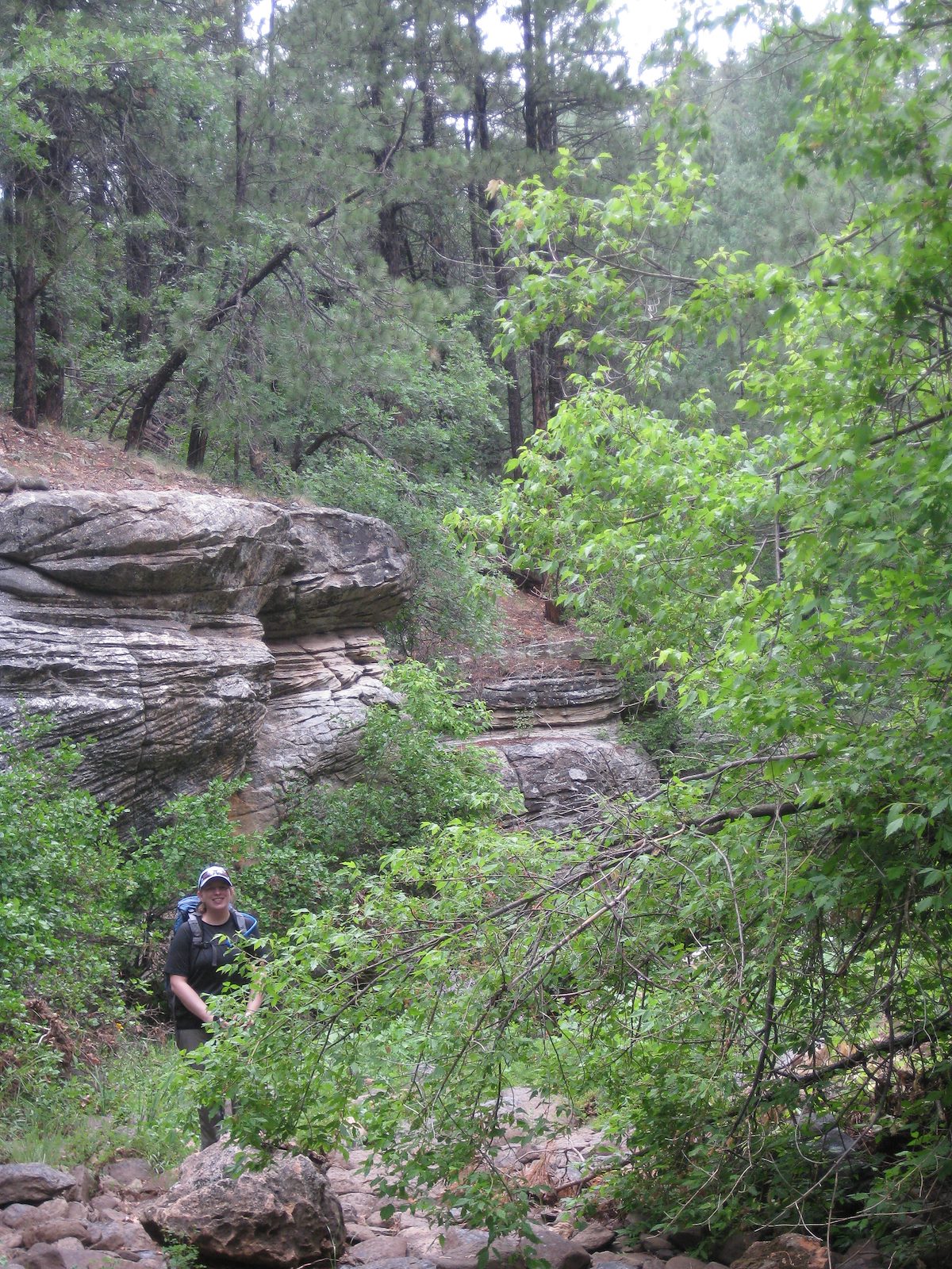 2010 July Sandstone and Forest