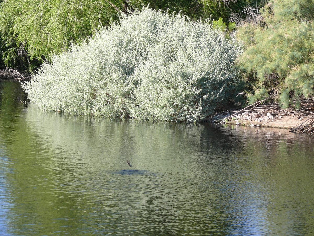 2010 May Water stop