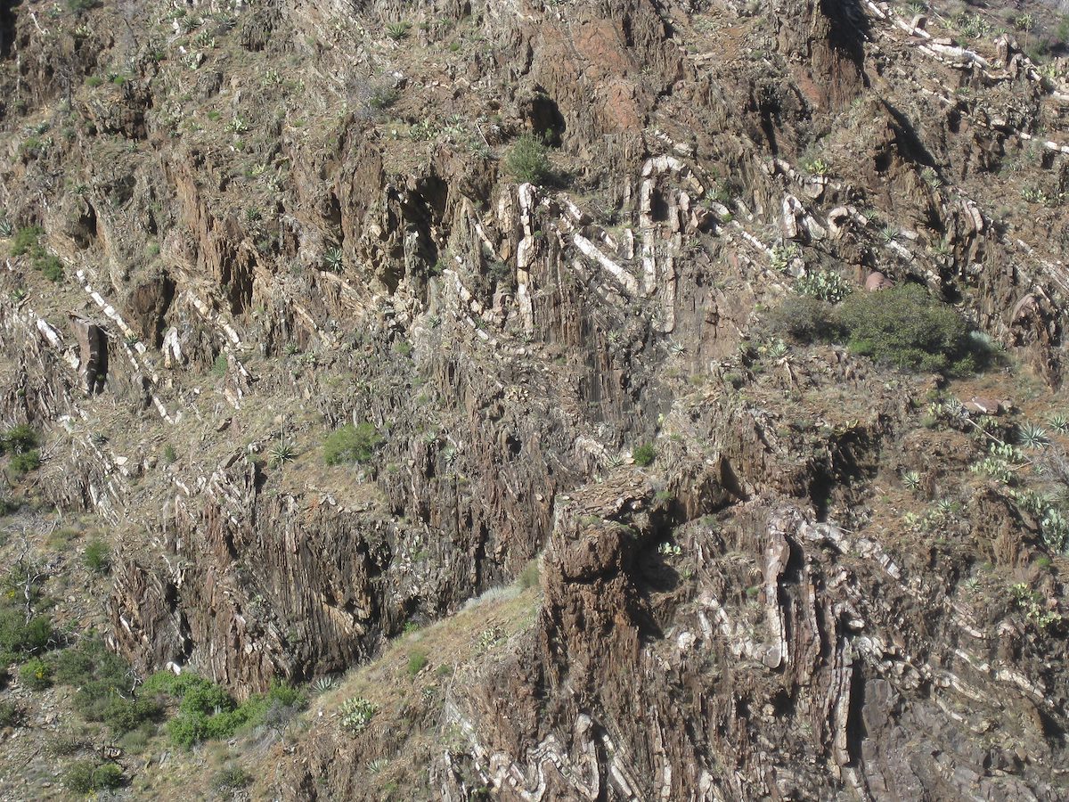 2011 April Barnhardt Fun Hillside Layers