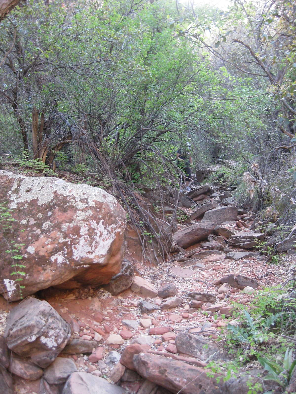 2011 April Hiking the Canyon Bottom