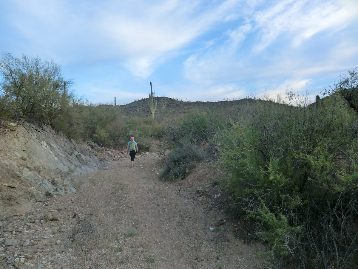 2012 April Alison on the Gila Monster Trail