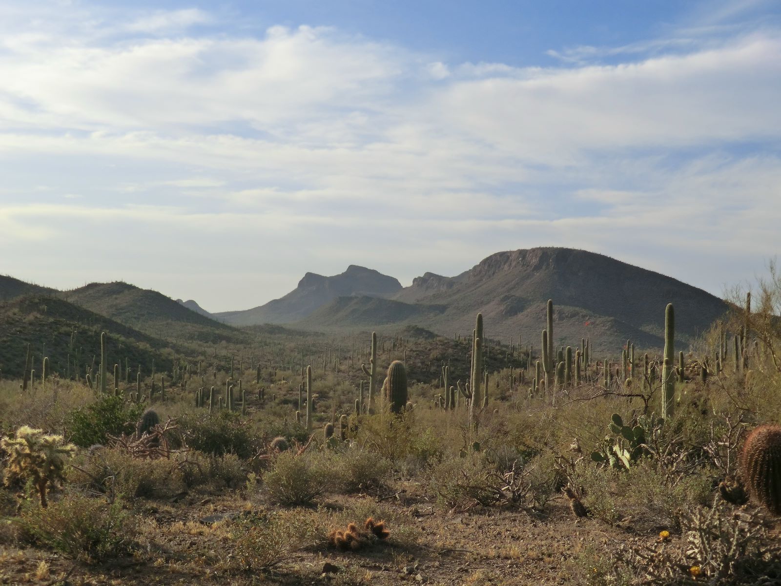 Tag - tucson-mountains