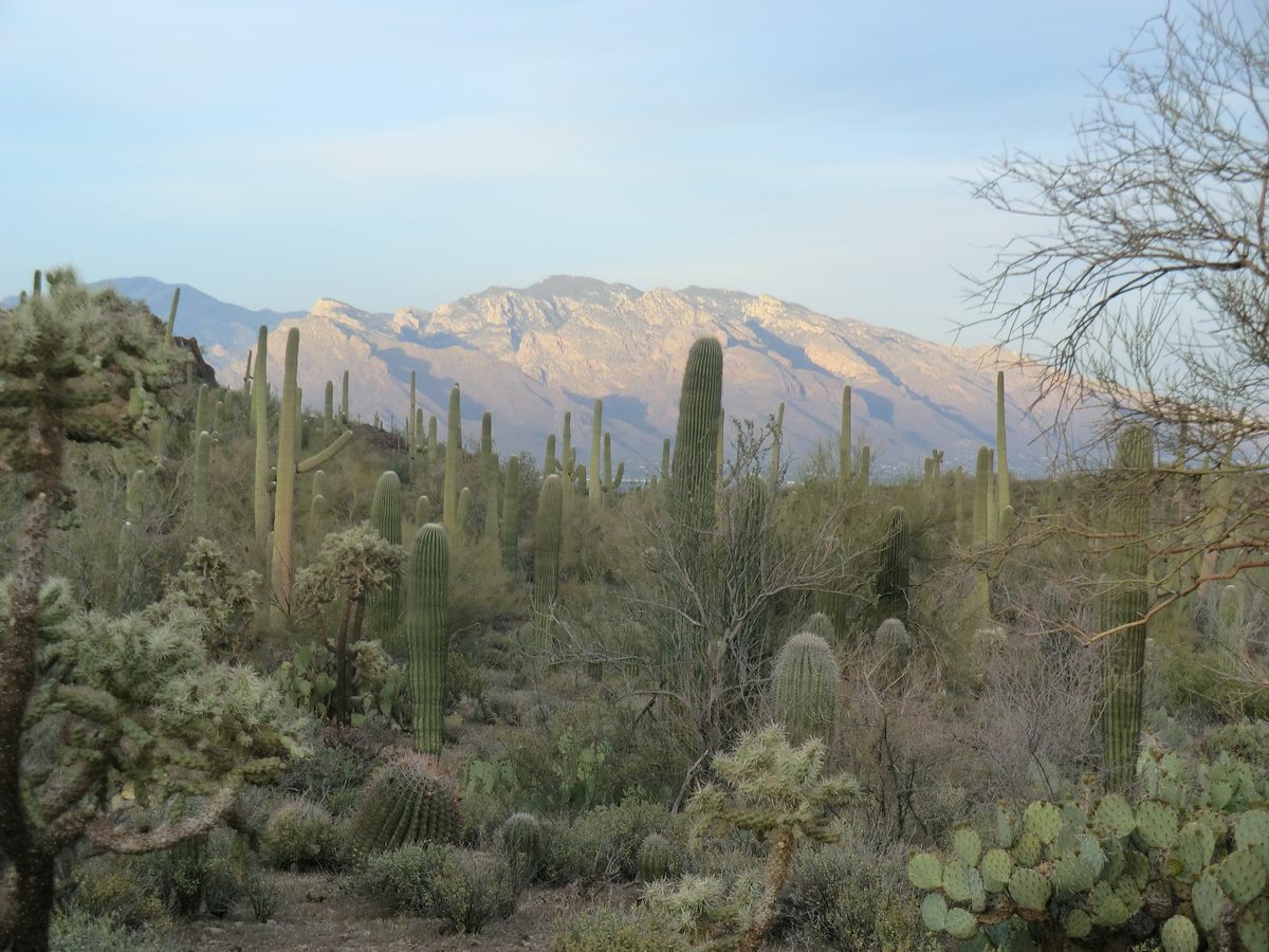 2012 April View into the Santa Catalina Mountains