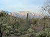 2012 April View into the Santa Catalina Mountains