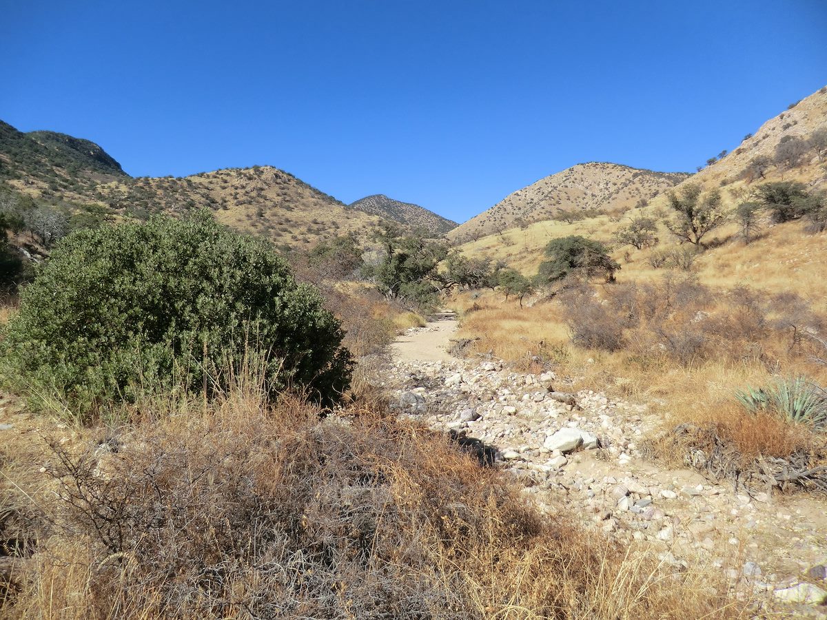 2012 December A Sandy Stretch of Guindani Canyon