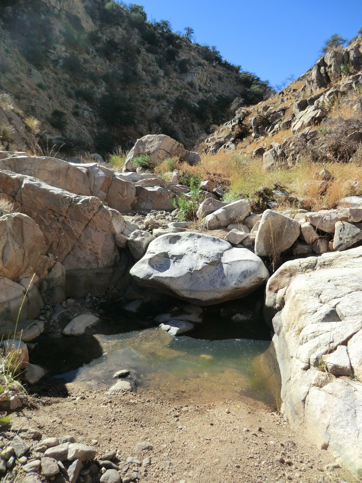 2012 December A small pool in Guindani Canyon