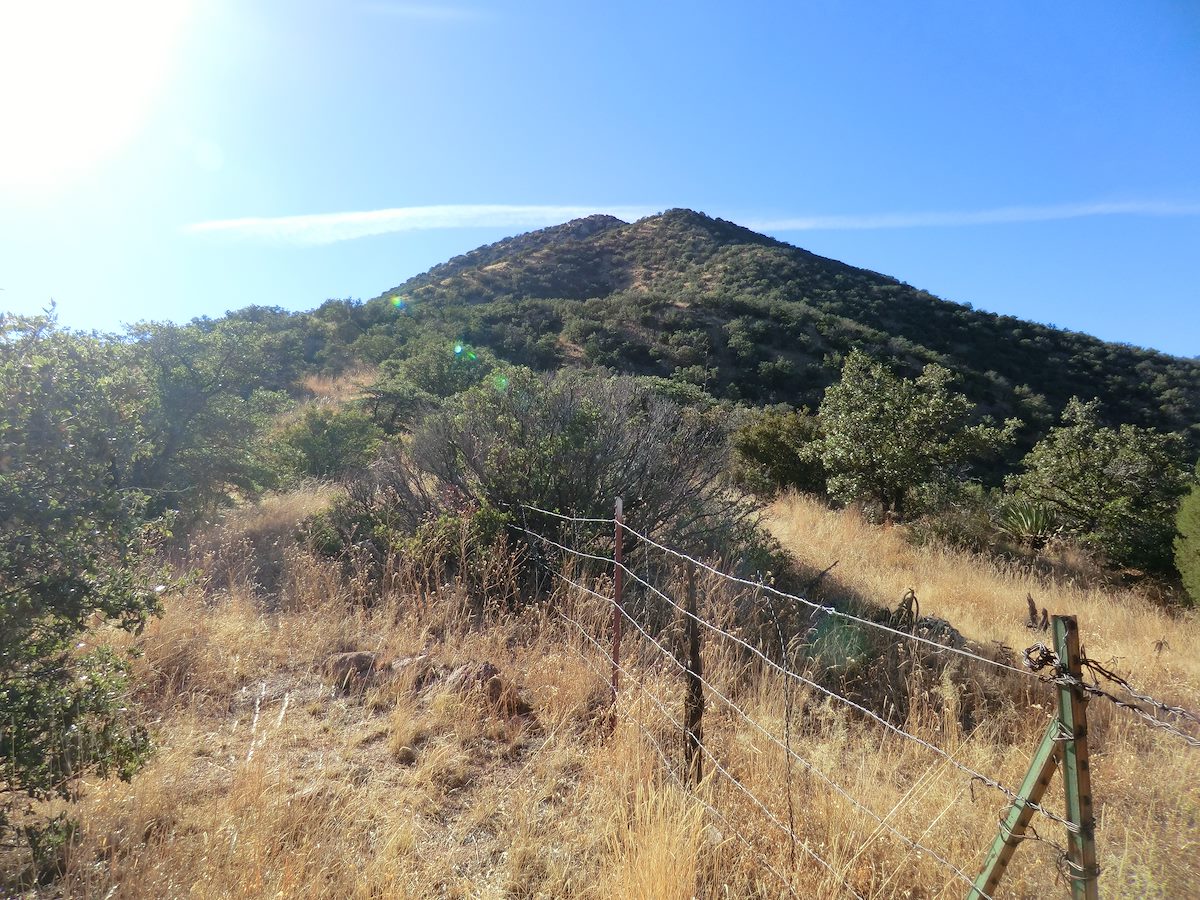 2012 December Cottonwood Peak