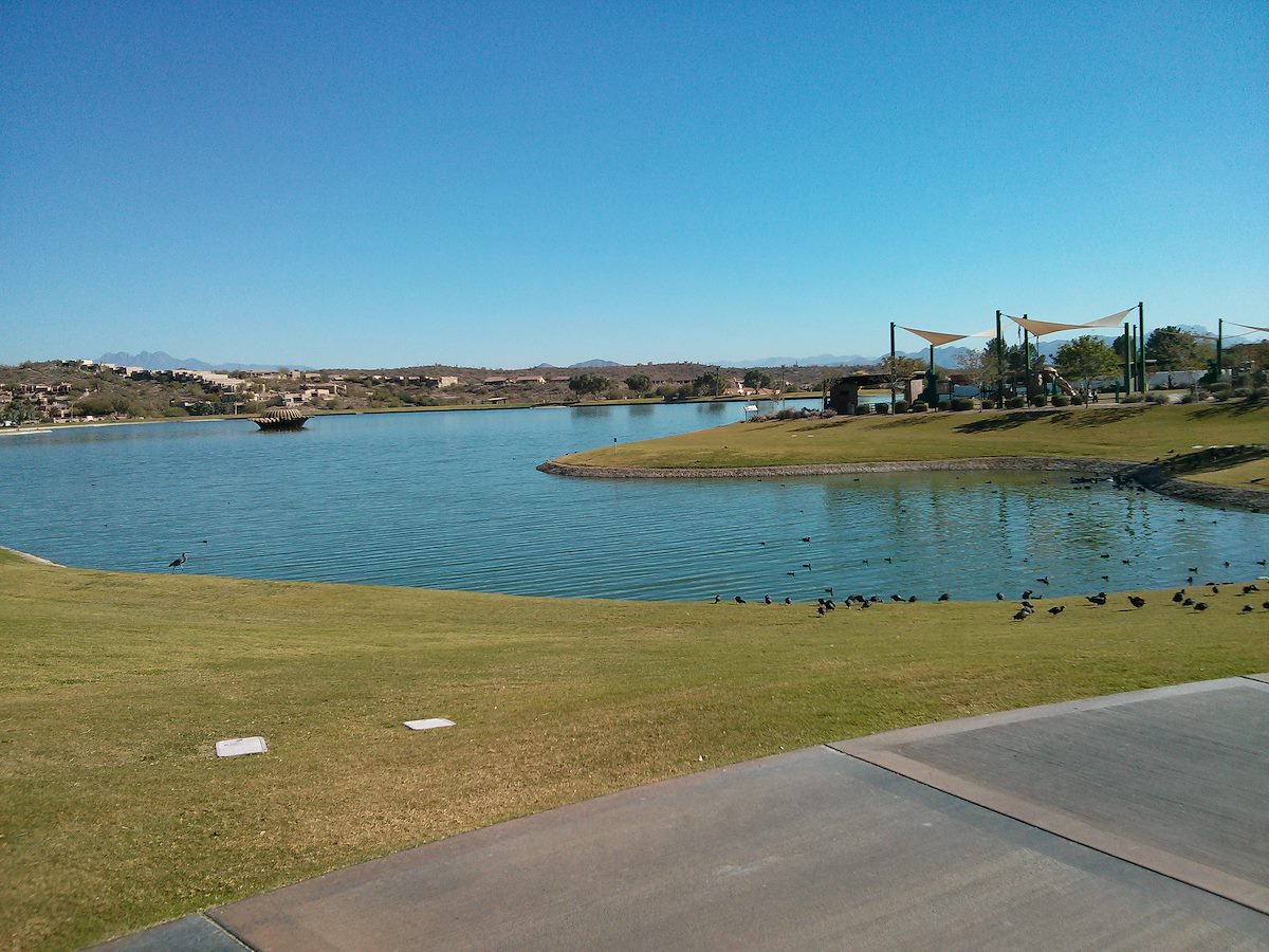 2012 December Fountain Hills Crane and Coots