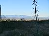 2012 December Looking towards the Dragoon Mountains