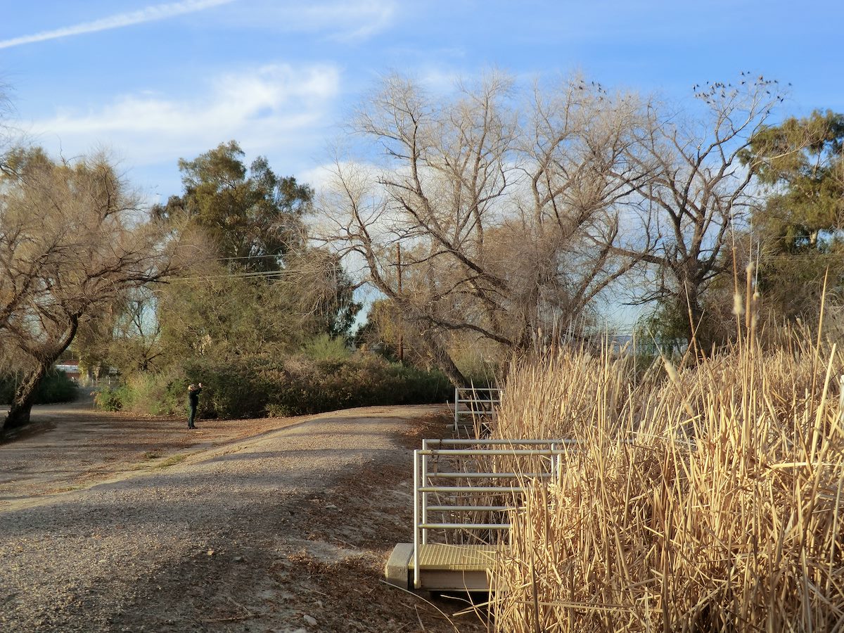 2012 February Alison taking a picture at the Sweetwater Wetlands