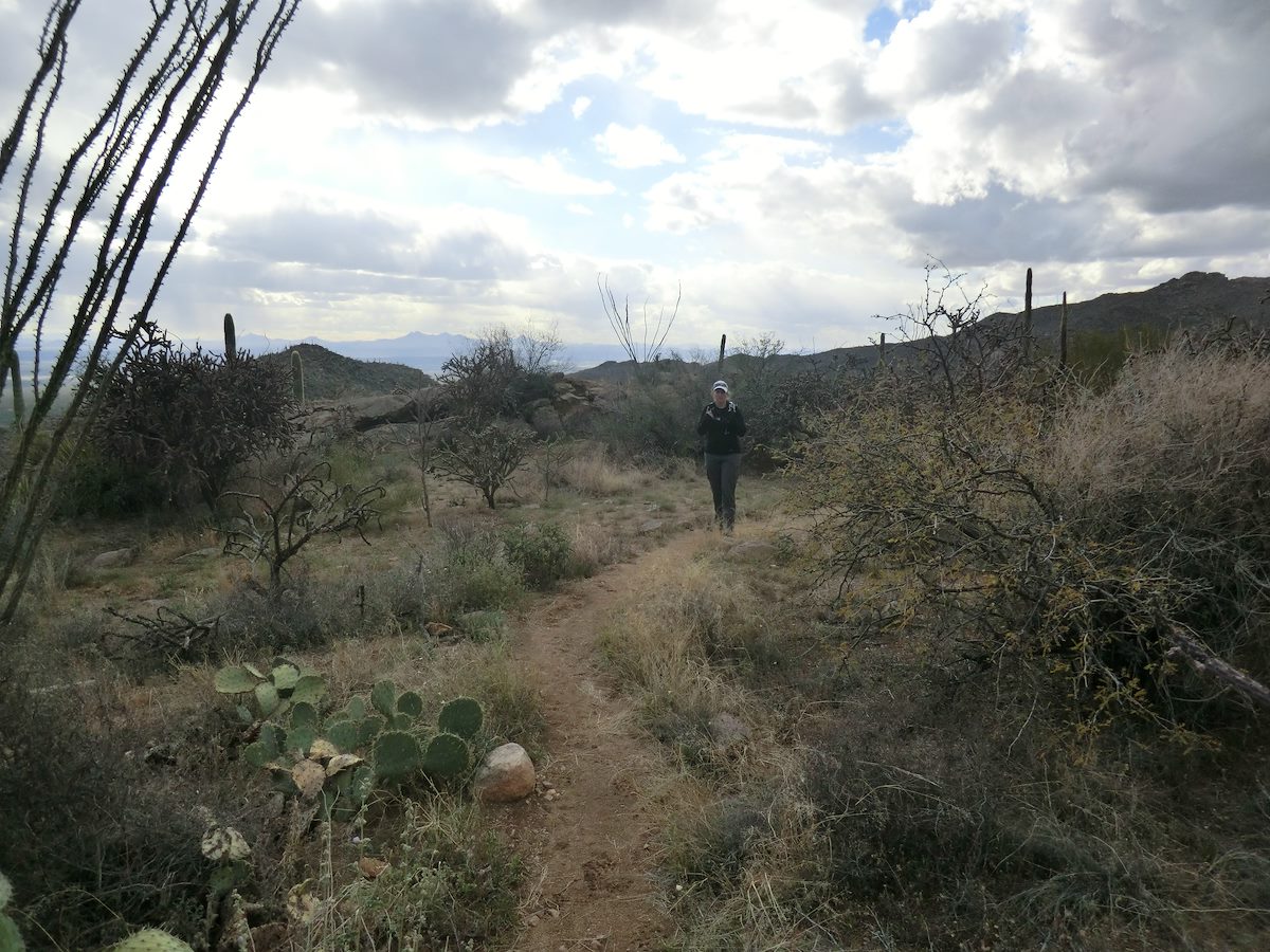 2012 March Alamo Springs trail flattening out