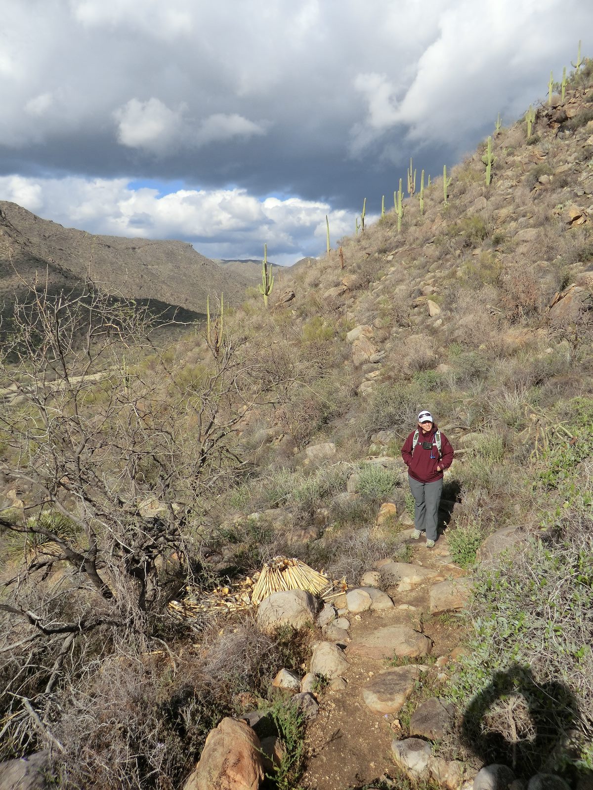 2012 March Alamo Springs Trail - Heading up the hill after leaving the Wild Burro Trail