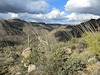 2012 March Looking Down into the Wild Burro Area from the Alamo Springs Trail