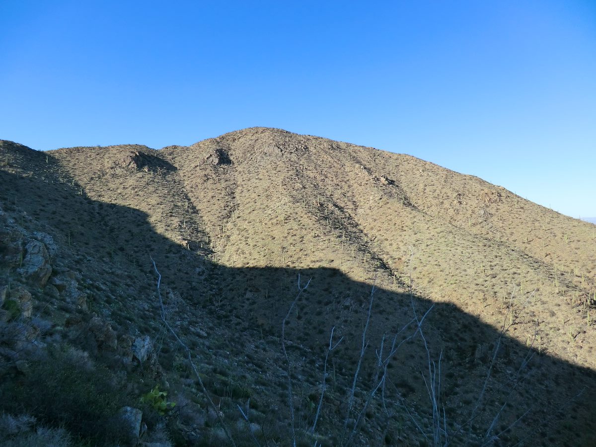 2012 March Looking up at Wasson Peak