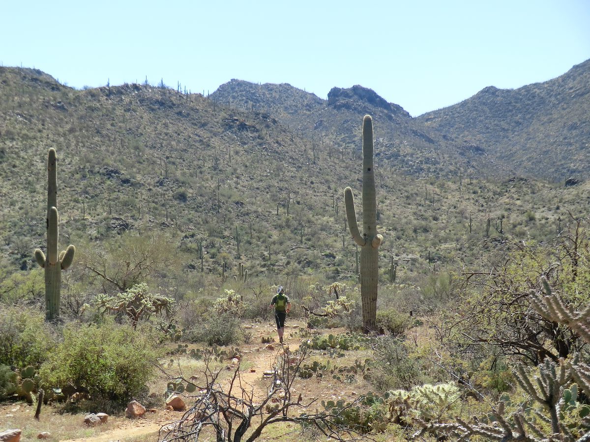 2012 March Tim nearing the crossing of Wild Burro Canyon