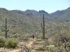 2012 March Tim nearing the crossing of Wild Burro Canyon