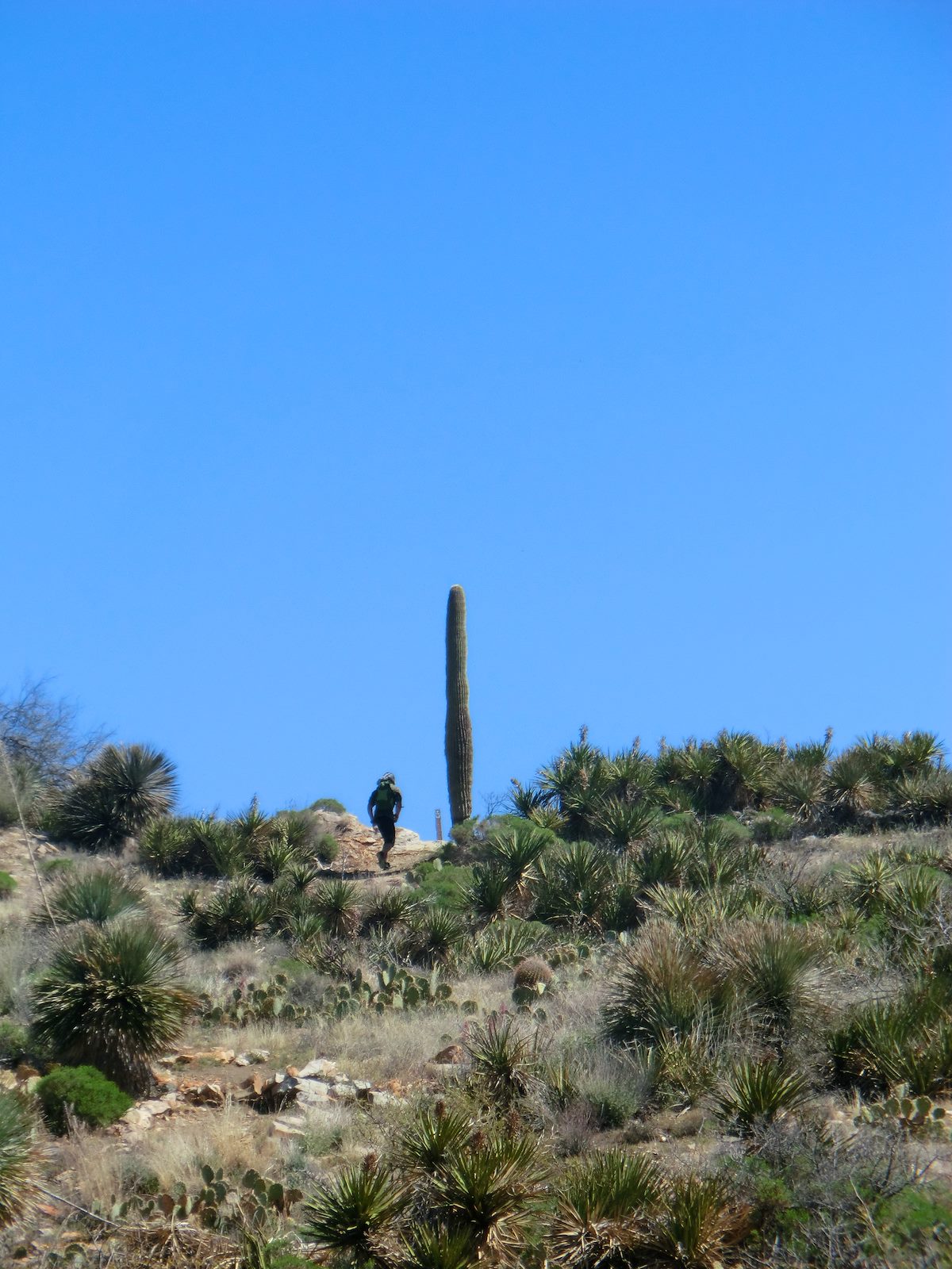 2012 March Tim on the Wild Mustang Trail