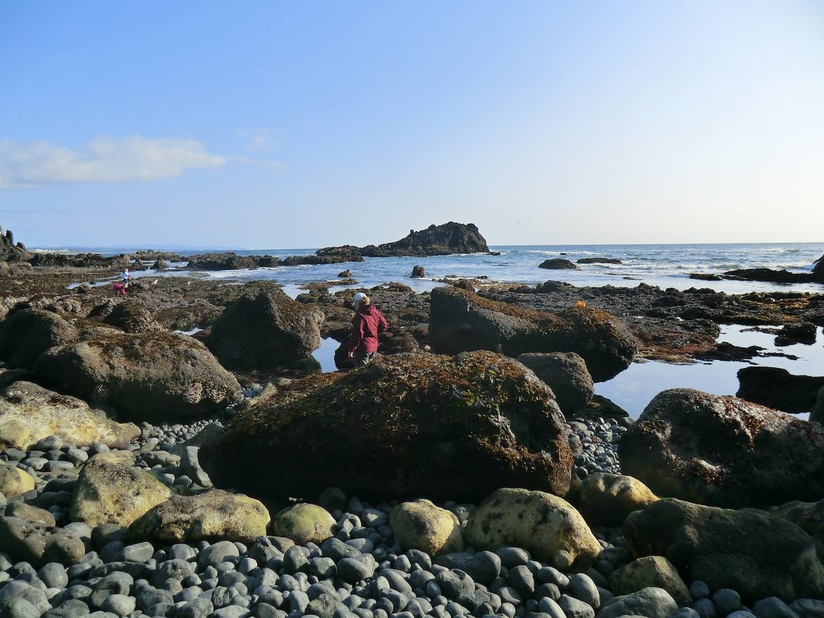 2012 May Alison at Cobble Beach