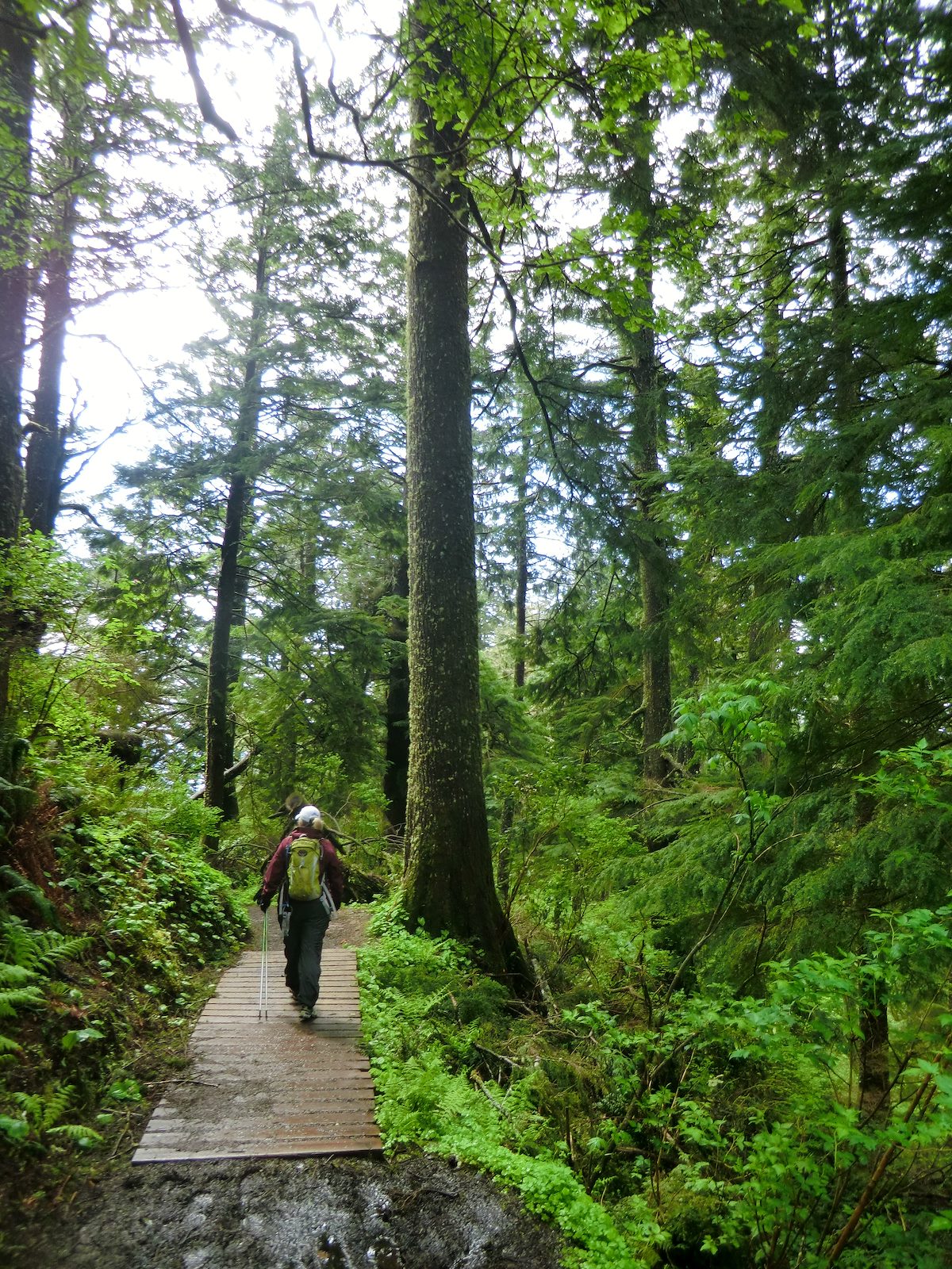 2012 May Alison on the Cape Trail