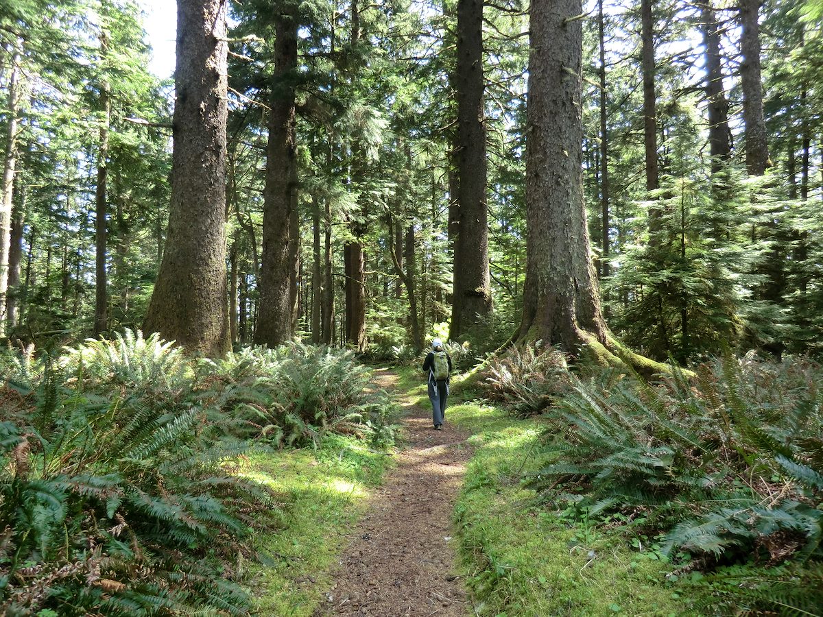 2012 May Alison on the Cooks Ridge Trail