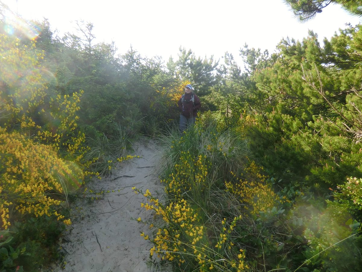 2012 May Alison on the Tahkenitch Dunes Trail